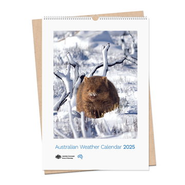 Australian Weather Calendar 2025 - large flatpack