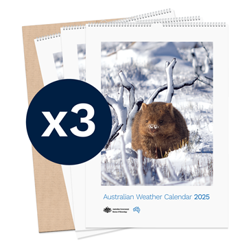 Australian Weather Calendar 2025 - large flatpack x 3