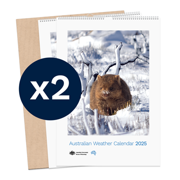 Australian Weather Calendar 2025 - large flatpack x 2