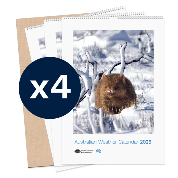 Australian Weather Calendar 2025 - large flatpack x 4