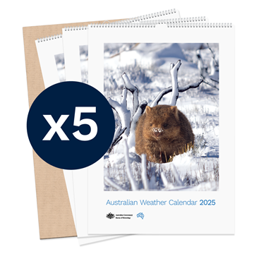 Australian Weather Calendar 2025 - large flatpack x 5